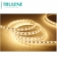 New Products IP65 Selected Silicon Glue Extrusion LED Strip Light