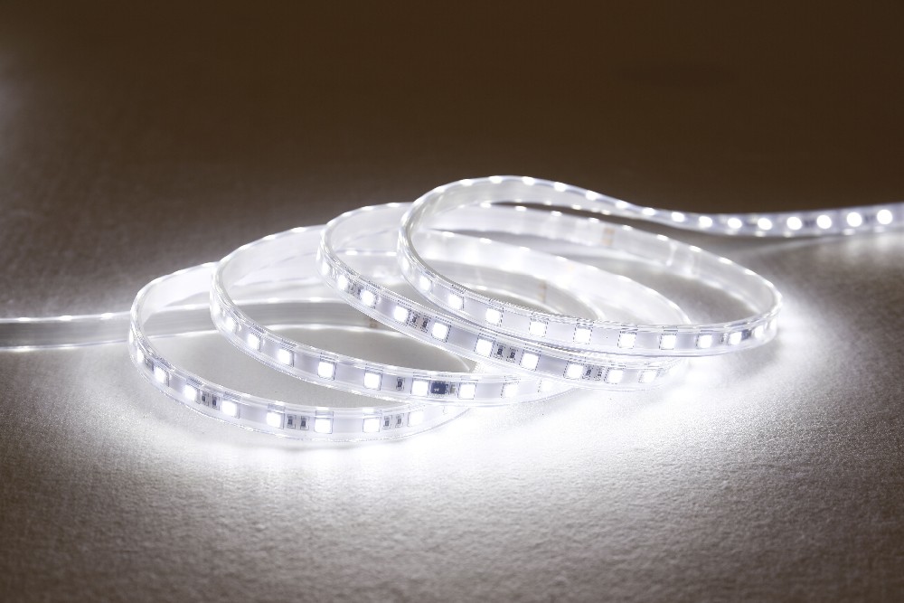 Guangzhou Trulene IM. & EX Co., Ltd