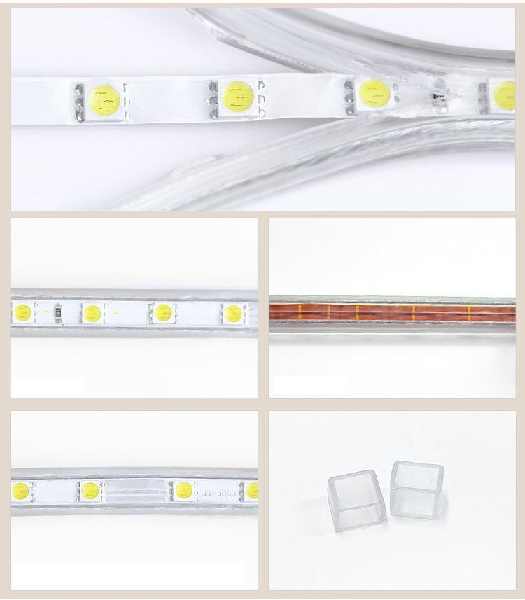 Guangzhou Trulene IM. & EX Co., Ltd