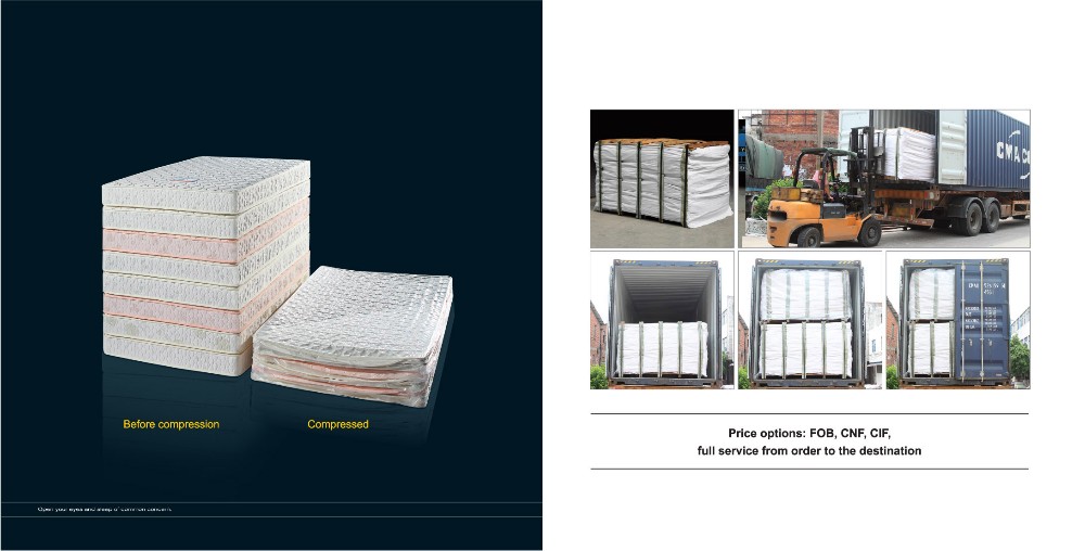 Guangzhou Trulene IM. & EX Co., Ltd