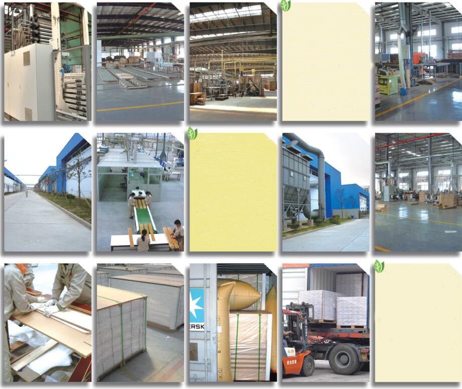 Guangzhou Trulene IM. & EX Co., Ltd