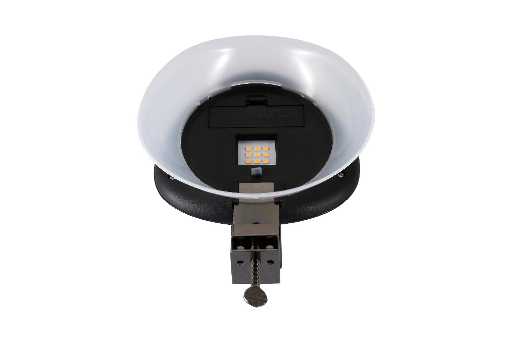 Guangzhou Trulene IM. & EX Co., Ltd