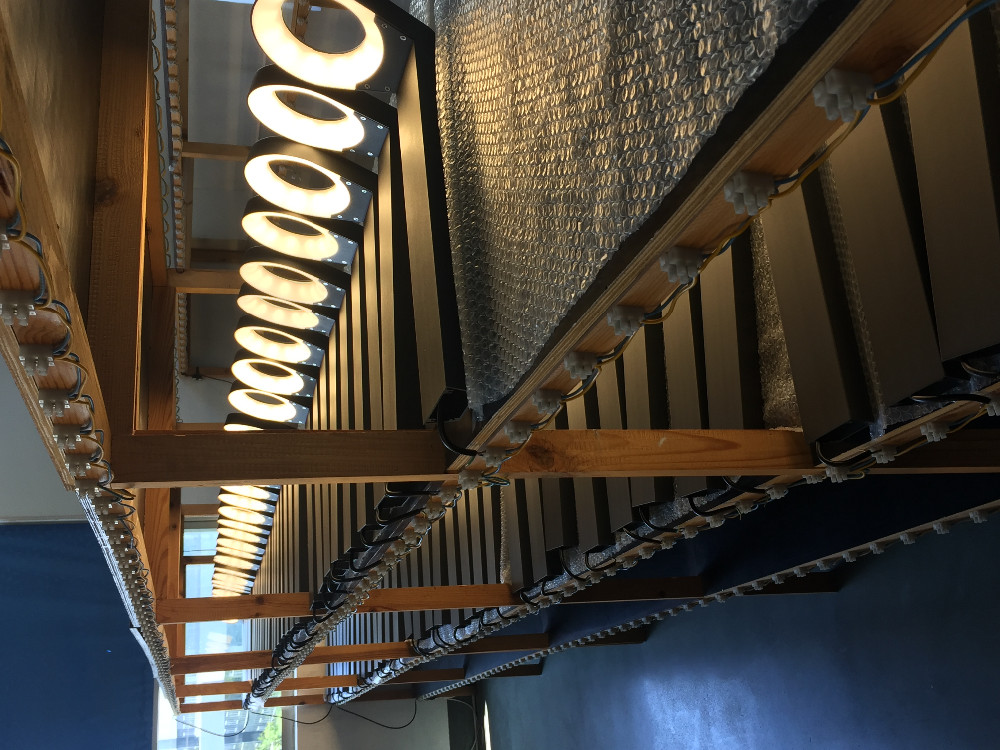 Guangzhou Trulene IM. & EX Co., Ltd