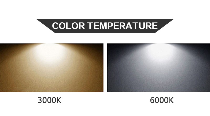 Guangzhou Trulene IM. & EX Co., Ltd