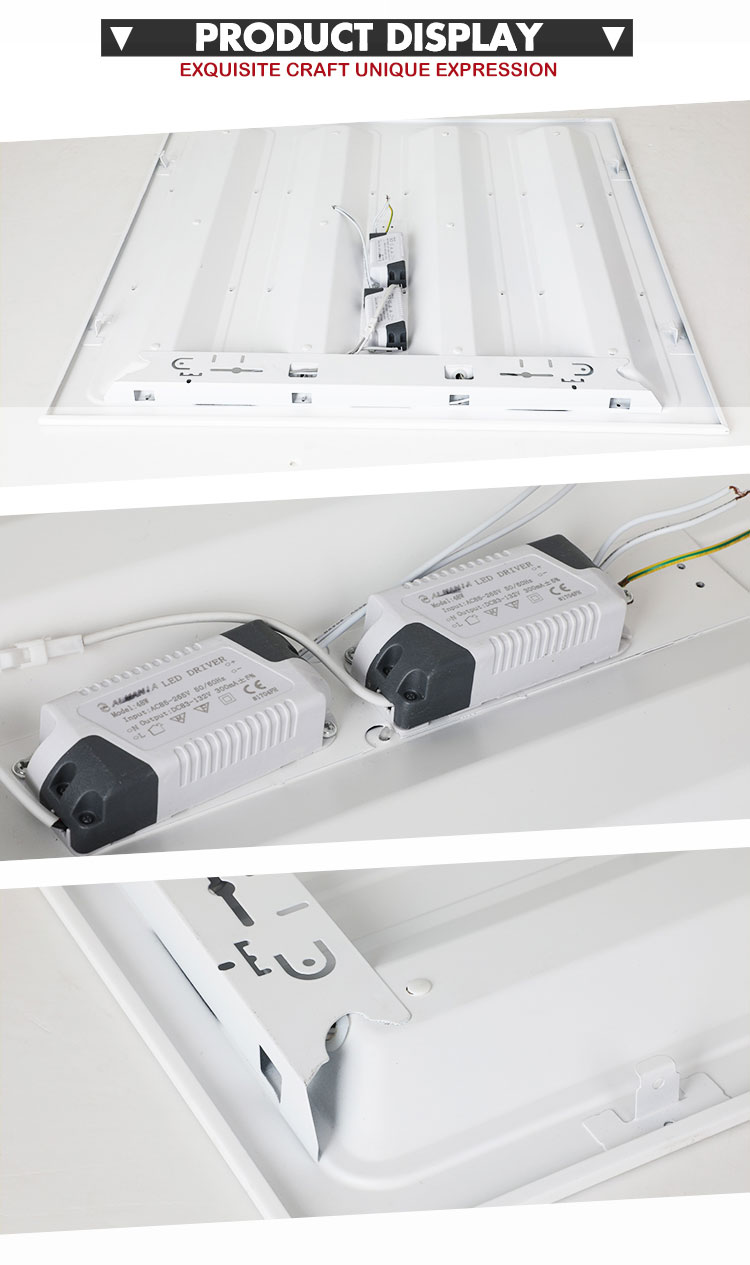 Guangzhou Trulene IM. & EX Co., Ltd