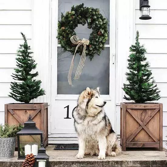 Guangzhou Trulene IM. & EX Co., Ltd