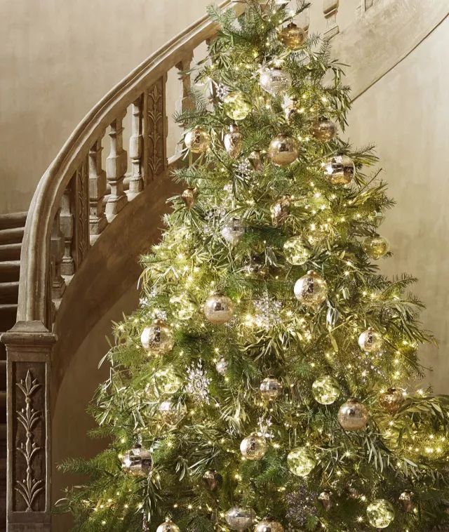 Guangzhou Trulene IM. & EX Co., Ltd