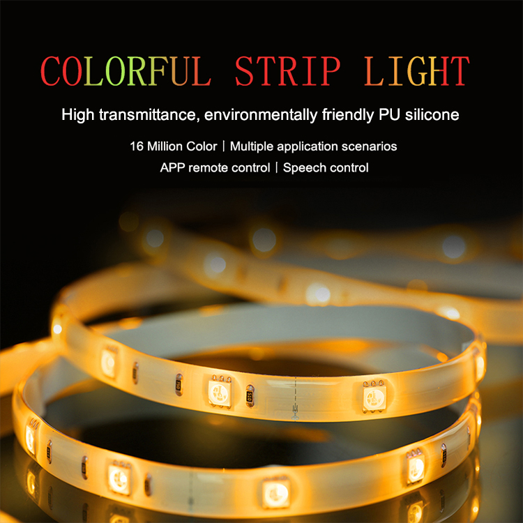 Outdoor Indoor decor wall wash remote control rgb ip68 led strip light