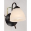 Decorative Ceiling E27 3/5/8 Lights lobby white brush golden glass shade brass living room chandelier