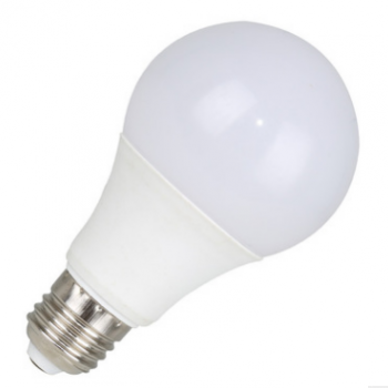 Bulb Light