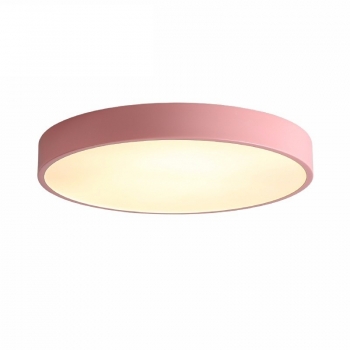Simple American Design Ceiling Light Wild Classic Selection