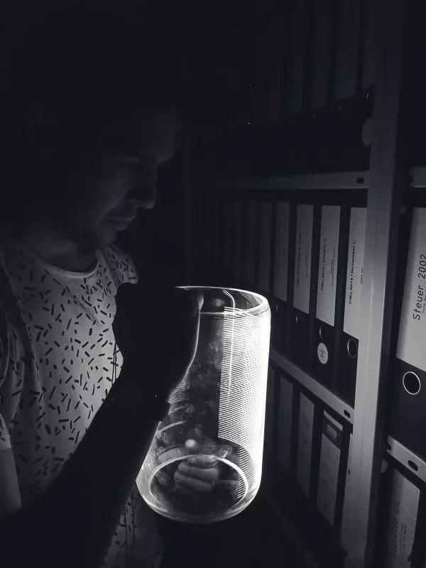 new light desing.jpg